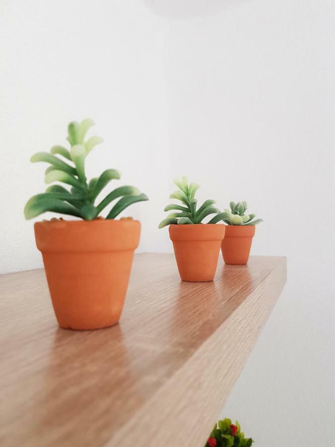 Stavrini'S Paradise Elevtherai 외부 사진